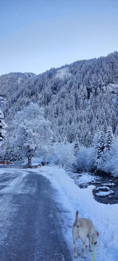 Haus Nani Leilighet Bad Gastein Eksteriør bilde