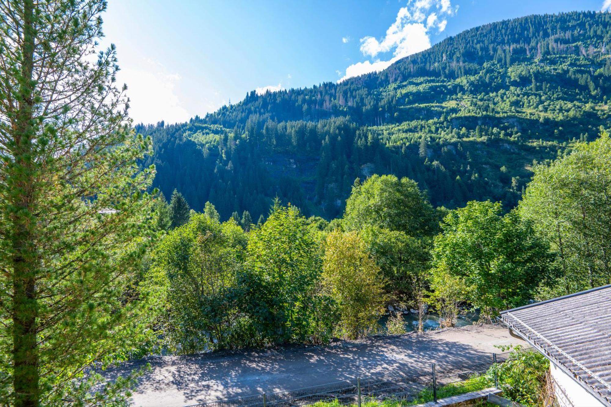 Haus Nani Leilighet Bad Gastein Eksteriør bilde